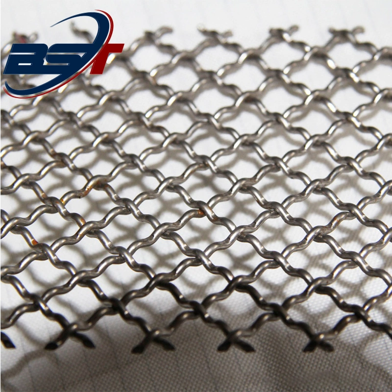 Galvanized Stainless Steel Wire Mesh Crimped Wire Mesh for BBQ